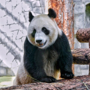 Московский Зоопарк